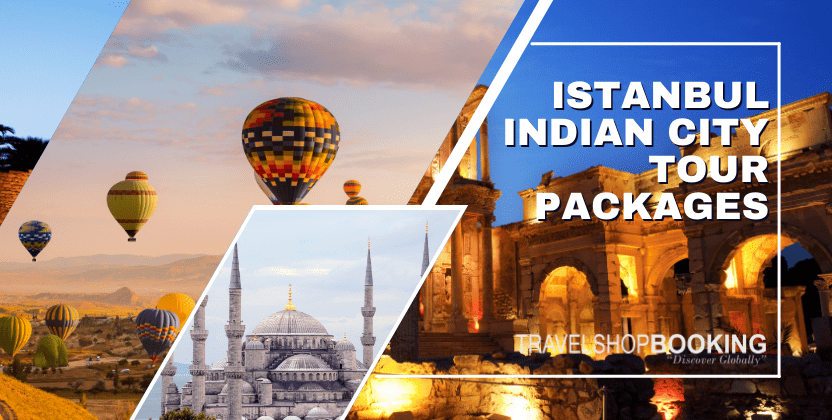 ISTANBUL INDIAN CITY TOURS